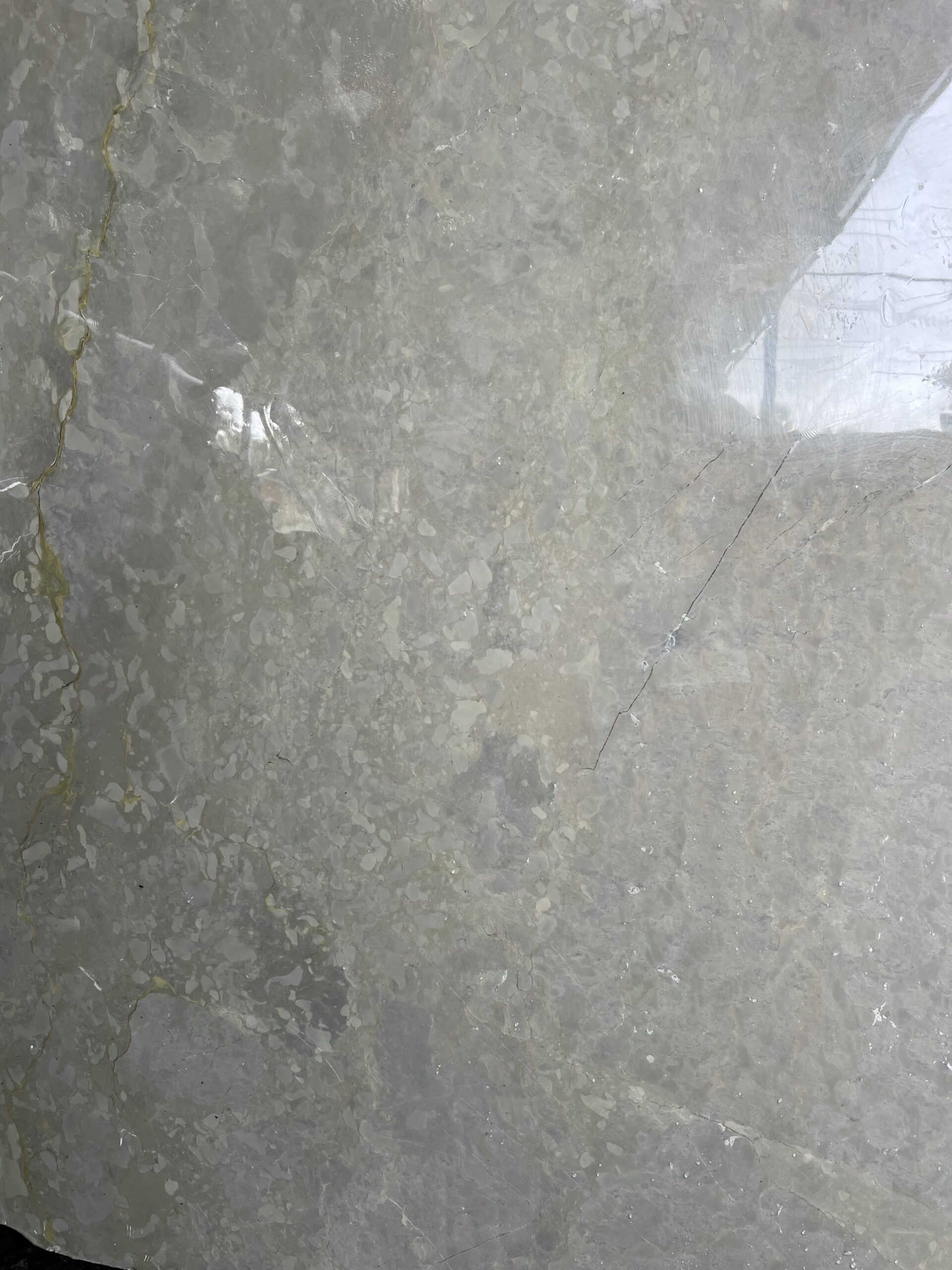 Wonder Katni Marble